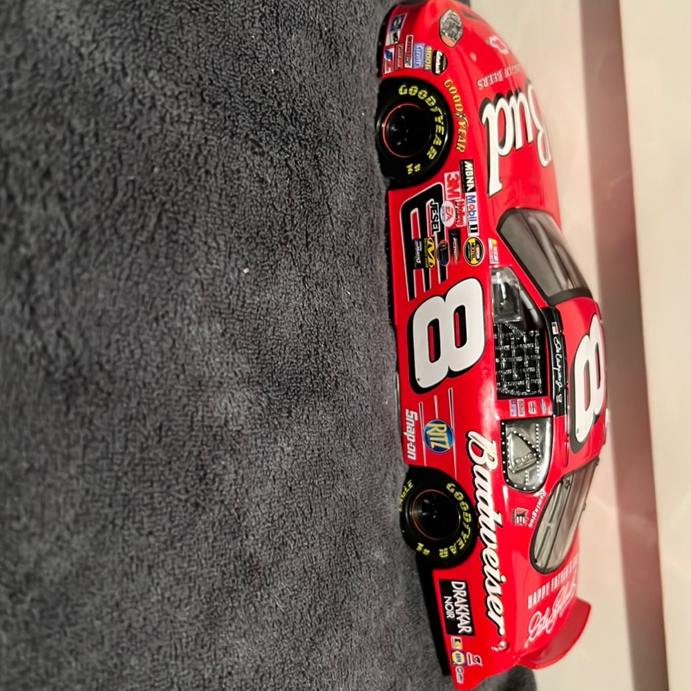 Dale Jr 1:24 Diecast